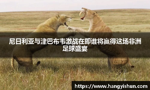 尼日利亚与津巴布韦激战在即谁将赢得这场非洲足球盛宴