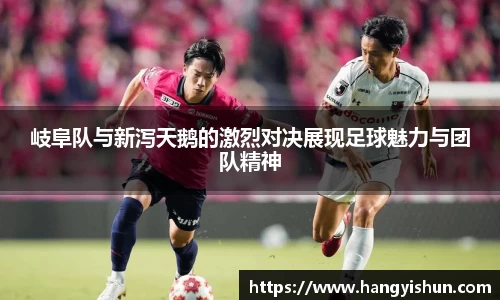 岐阜队与新泻天鹅的激烈对决展现足球魅力与团队精神