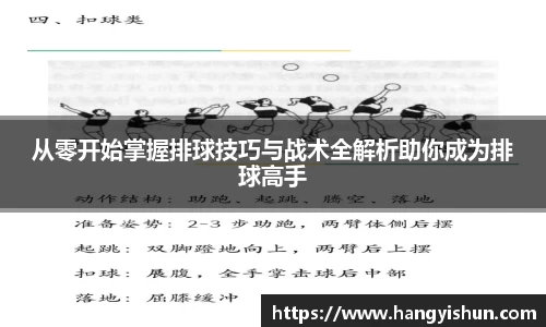 从零开始掌握排球技巧与战术全解析助你成为排球高手